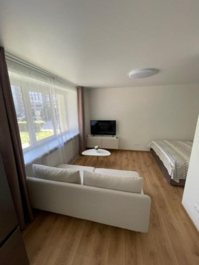 Ryšininkų apartamentai